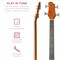 Best Choice Products 22-Fret Full Size Acoustic Electric Bass Guitar w/ 4-Band Equalizer, Truss Rod